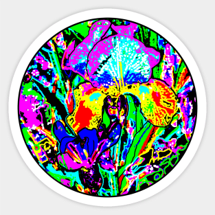 Two Irises Photograph Digital Var 3 Sticker